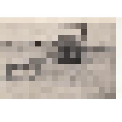 Фото/чб. Энгельсская опытно-мелиоративная станция (ВОЛЖНИИГИМ). Трактор с прицепом для дождевальной машины. 1960-1970-е