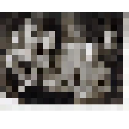 Фк/чб. Семья Мухановых. Дед Василий и бабушка Матрена, Александр, внуки Ирма, Александр, Василий и др. Энгельс. 1931