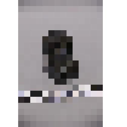 коллекция В.Ф. Лагодича. Талисман каменный стоящий, выполнен в виде головы человека. Янусовидный (два лица). Камень черного цвета