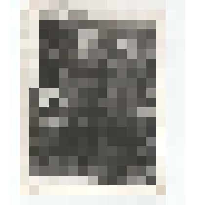 Фото/чб. Майор Махин Яков Прокопьевич, инструктор политотдела 17-й штурмовой инженерно-саперной Гатчинской бригады (сдлева) с однополчанином. /ВОВ. Цойтен, Германия. 1945