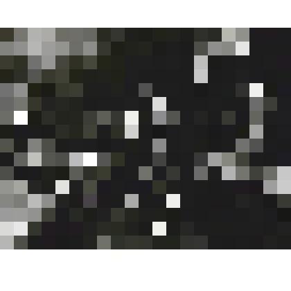 Фотография. Мужская беседа