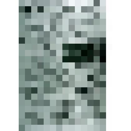 Негатив ч/б "Газета "Усинская Новь" №73 (275)"