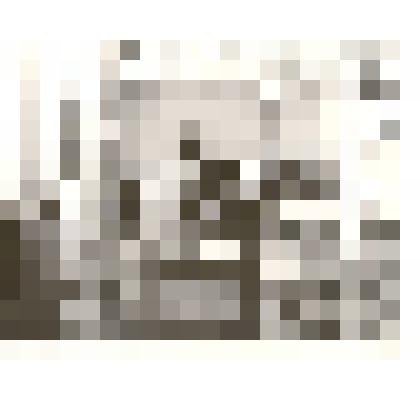 Фотография. Внутренний вид цехов Каменской мебельной фабрики