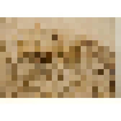 Лагерь Валленштейна