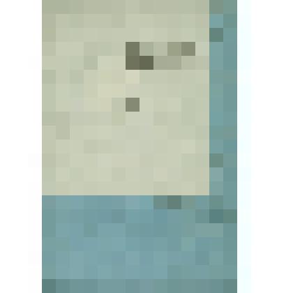 Дело Сиротского суда по опеке над имением умершего Сольвычегодского мещанина Николая Мускунова