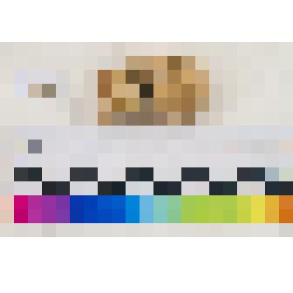 Игрушки антропоморфной красноглиняной , покрытой белым ангобом фрагмент (голова)