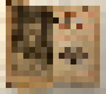 Книга на латинском языке Conradi  Samuelis Schurzfleischii Epistolae selectiores...- Vitembergae: Apud Heredes Godofr. Zimmermanni, 1729