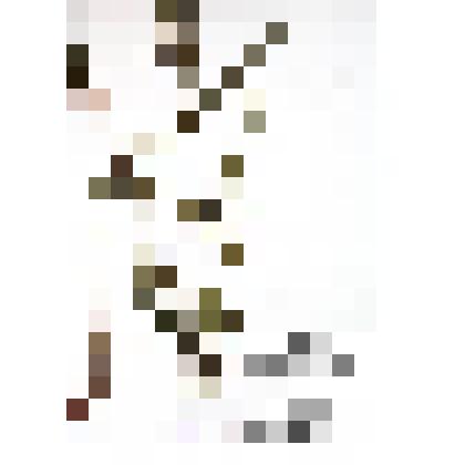 Гербарий
Мята даурская