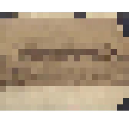 Фотография. Главное почтовое полевое Управление действующей армии 1877 г. (Русско-Турецкая война)