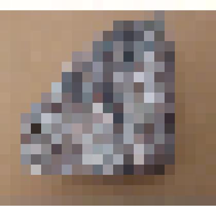 Титанит (сфен)