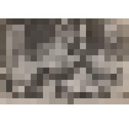 Фото. Участники профсоюзной конференции  ст.Новохоперск