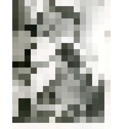 Фотография. Лучшие парикмахеры города за работой - Лобачева Г.Н. (дамский)