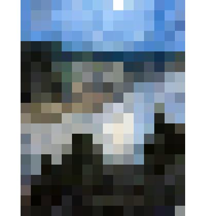 Картина. Полнолуние