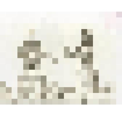 Фотокопия с  рисунка. Российские подданные в XIII веке. Киргизы и башкиры