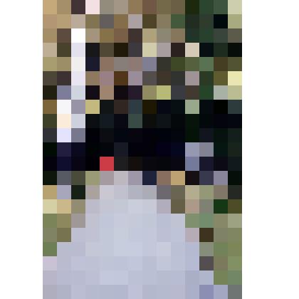 Диапозитив. Лесопарк. (333)