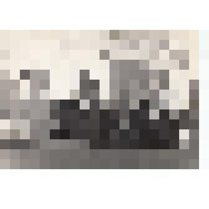 Ф/чб. Открытие автомоста Саратов-Энгельс через р. Волга. Президиум: выступление 1 секретаря ОК КПСС Шибаева А.И. 11.07.1965