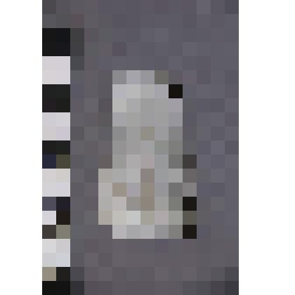 коллекция В.Ф. Лагодича. Талисман каменный лежачий, выполнен в виде головы человека. Камень белого цвета с прожилками серого