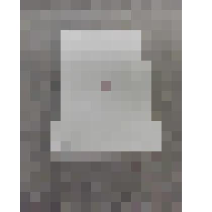 Брошюра. Что делать? Наболевшие вопросы нашего движения.- М.: Издательство политической литературы, 1982 г