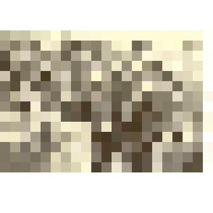 Фотография: праздник борозды по случаю окончания сева в Каменском районе Алтайского края. Переходящее знамя получает бригадир сеяльщиков совхоза "Октябрь" Гусенков