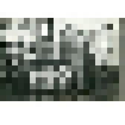 Фотография. Стрелковый отдел