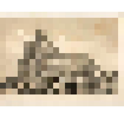 Литография. "Троицкий монастырь. Московская губерния. Церковь и трапезная."