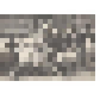 Фотография. Воспитанники и работники детских яслей-сада. Дер. Фельшинка