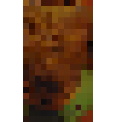 туес берестяной