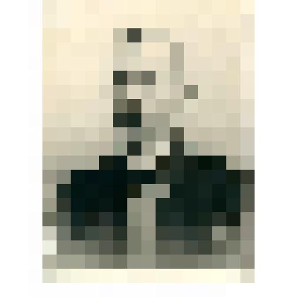 Фотокопия. Э. В. Толль