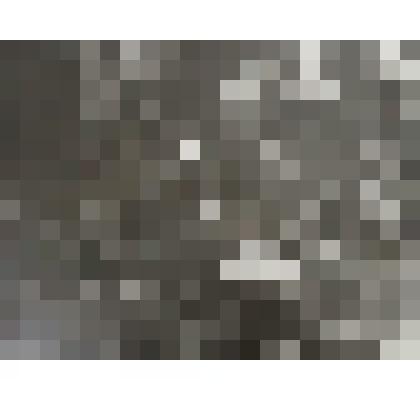 Фото Башмачки пестрые