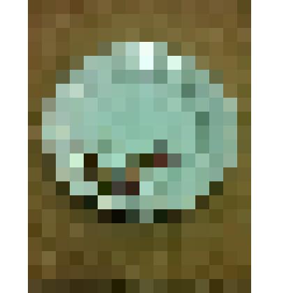 Тарелка "И.Е Кузнецова"