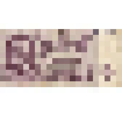 Билет Государственного Банка Союза ССР. 25 рублей. Ли 0224594