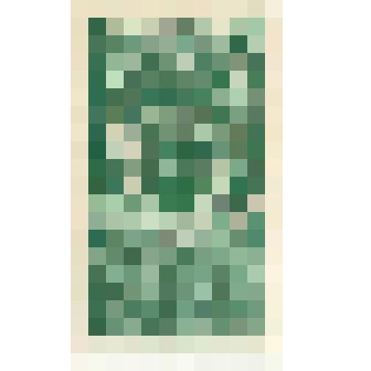 Марки почтовые. Марка почтовая. 2 руб. (зеленый). "Гербовая марка" с изображением двуглавого орла и надпись "Единая Россия" 