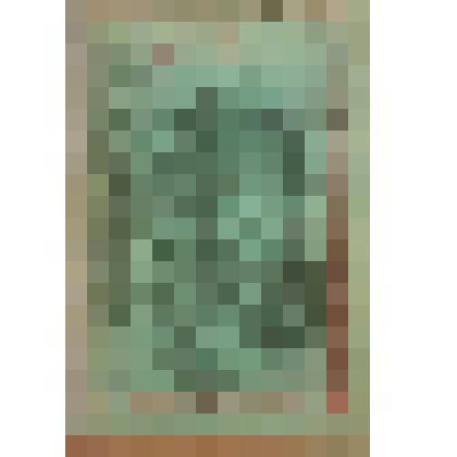 Книга. Семенов С.Т. Два брата [Text] / Рассказ крестьянина С. Т. Семенова. - М. : Издательство "Посредник", 1887 (Товарищество И.Д.Сытина)