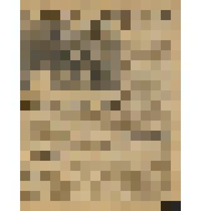 Газета. "Красный кавалерист" № 201