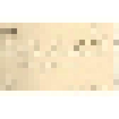 Документ. Визитная карточка Тайного Советника  Глаголева Павла Николаевича