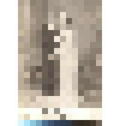 Фотография. Прасковья Самойловна Книжник с мужем (преподаватель математики в Еврейской школе №15 Иркутска)