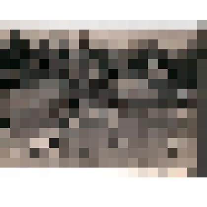 Фотография. Сотрудницы:  делопроизводители, медсестры, врачи, секретари, выполняющие спортивные  упражнения