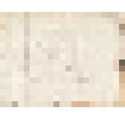 Телеграмма № 447 в г. Чердынь В. Н.Алину от Бодунова из г. Перми, 19.09.1884 г