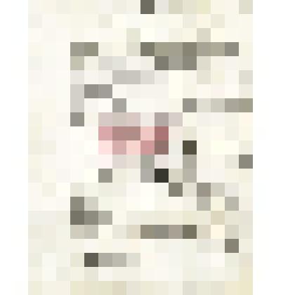 Письмо Д. А. Клеменца Мартьянову о Якутской экспедиции, которая висит на волоске, о своей лекции о провинциальных музеях, о снятии надписей с каменных изваяний