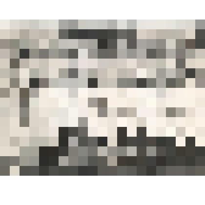 Фото групповое (черно-белое)