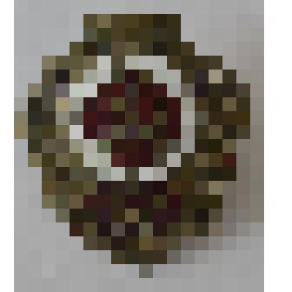 Знак  нагрудный "Отличный разведчик"