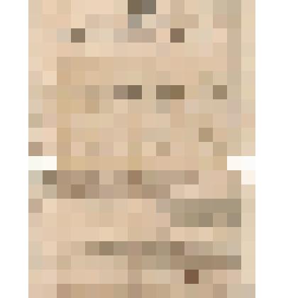 Переписной лист первой всеобщей переписи населения России