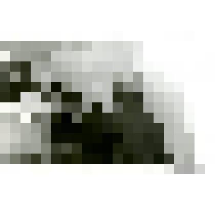 Фото. На персональной выставке заслуженного художника Дагестана Арсена Кардашева, племянника Эффенди Капиева