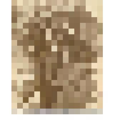 Фотография. У трапа вертолёта