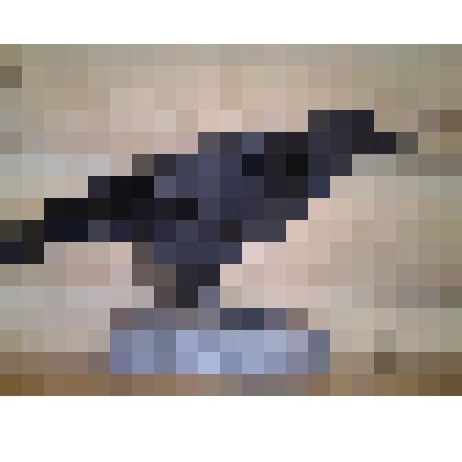 Чучело ворона черного