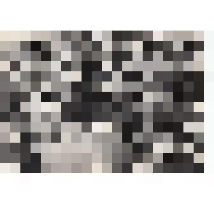 Ф/чб. Встреча жителей Энгельса и Саратова на новом автомосту через р. Волга. 11.07.1965