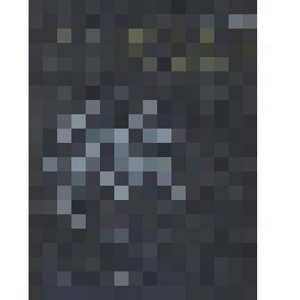 Книга. Шагнувшие в небо (Книга о стратонавтах)