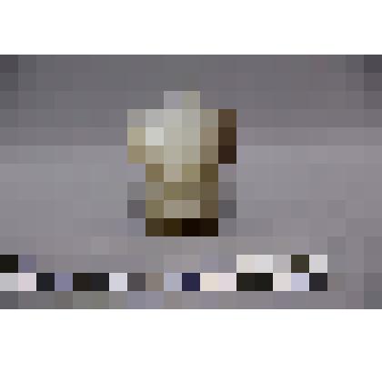 коллекция В.Ф. Лагодича. Талисман каменный стоящий, выполнен в виде головы человека. Камень бело коричневого цвета