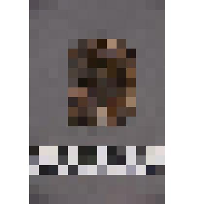 коллекция В.Ф. Лагодича. Талисман на металлической пластине, по мотивам изваяний окуневской культуры. Подпрямоугольная пластина с изображением 3-хглазой личины, прорезанными глазами и ртом. Разделена на 2 части двумя волнистыми линиями по уровню – глаза;