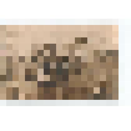 Фото/чб. Офицеры 173-го отд. бат-на 148-й стрелковой Черниговской дивизии: Сычев, Гиченок, Баранов и др. 1945